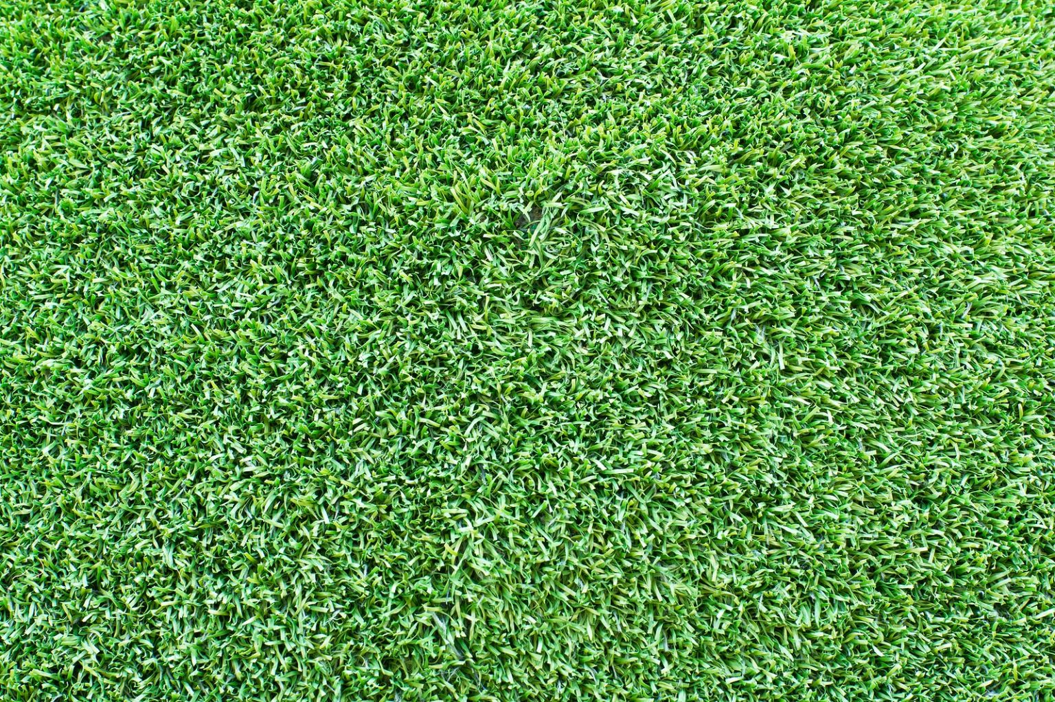 Artificial Grass Installation In San Marcos TX LawnPop