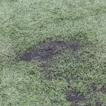 What Can Damage Artificial Grass