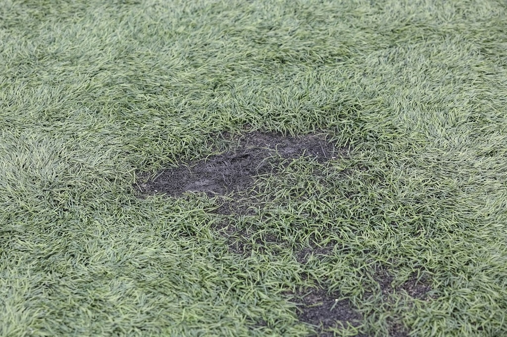 What Can Damage Artificial Grass?